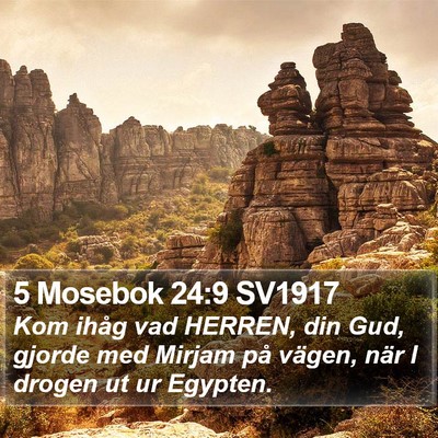 5 Mosebok 24:9 SV1917 Bible Verse Image
