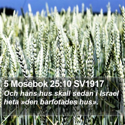 5 Mosebok 25:10 SV1917 Bible Verse Image