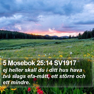 5 Mosebok 25:14 SV1917 Bible Verse Image