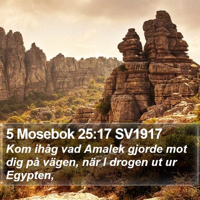5 Mosebok 25:17 SV1917 Bible Verse Image