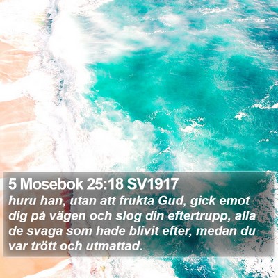 5 Mosebok 25:18 SV1917 Bible Verse Image