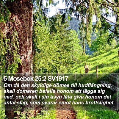 5 Mosebok 25:2 SV1917 Bible Verse Image
