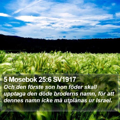5 Mosebok 25:6 SV1917 Bible Verse Image