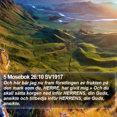 5 Mosebok 26:10 SV1917 Bible Verse Image