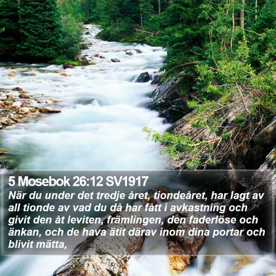 5 Mosebok 26:12 SV1917 Bible Verse Image