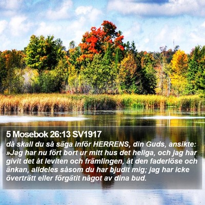5 Mosebok 26:13 SV1917 Bible Verse Image