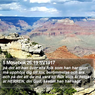 5 Mosebok 26:19 SV1917 Bible Verse Image