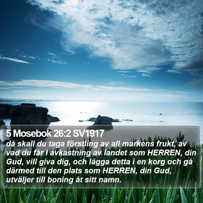 5 Mosebok 26:2 SV1917 Bible Verse Image
