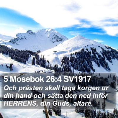 5 Mosebok 26:4 SV1917 Bible Verse Image