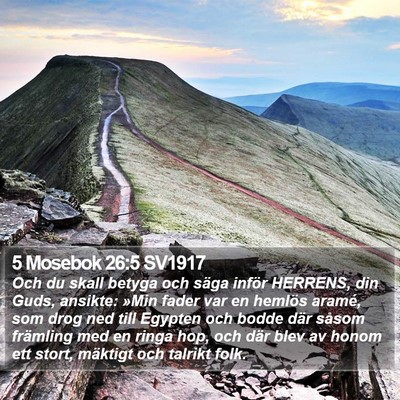 5 Mosebok 26:5 SV1917 Bible Verse Image