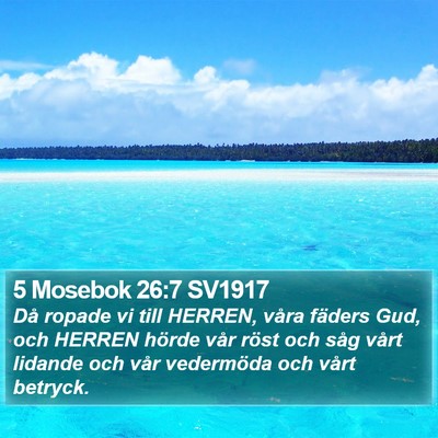 5 Mosebok 26:7 SV1917 Bible Verse Image