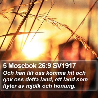 5 Mosebok 26:9 SV1917 Bible Verse Image