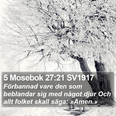 5 Mosebok 27:21 SV1917 Bible Verse Image
