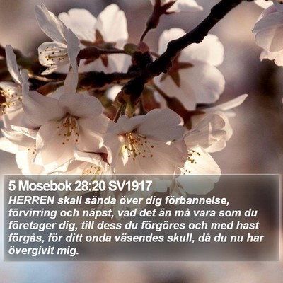 5 Mosebok 28:20 SV1917 Bible Verse Image