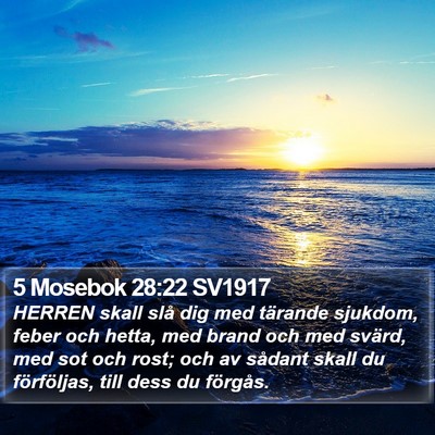 5 Mosebok 28:22 SV1917 Bible Verse Image