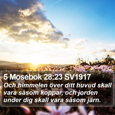 5 Mosebok 28:23 SV1917 Bible Verse Image