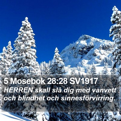 5 Mosebok 28:28 SV1917 Bible Verse Image
