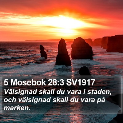 5 Mosebok 28:3 SV1917 Bible Verse Image