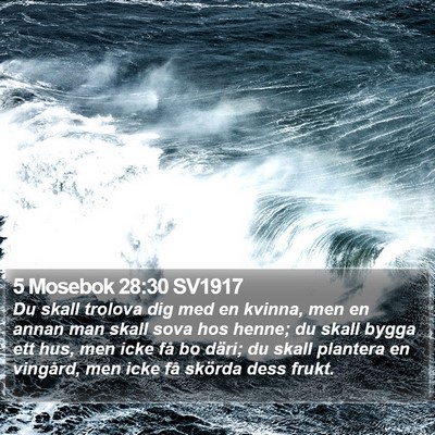 5 Mosebok 28:30 SV1917 Bible Verse Image
