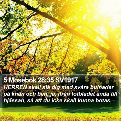 5 Mosebok 28:35 SV1917 Bible Verse Image