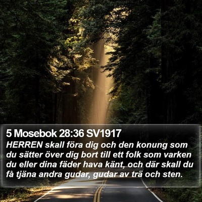 5 Mosebok 28:36 SV1917 Bible Verse Image