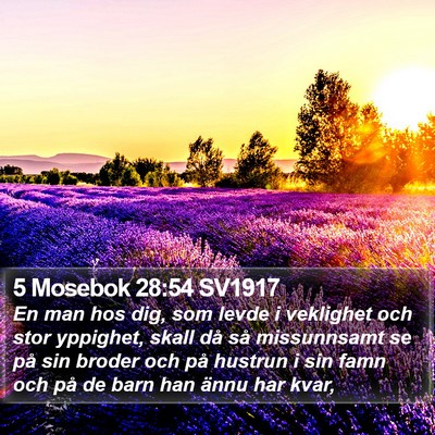 5 Mosebok 28:54 SV1917 Bible Verse Image