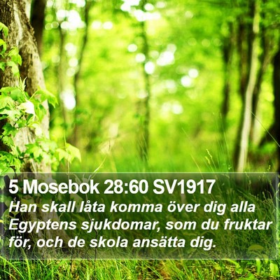 5 Mosebok 28:60 SV1917 Bible Verse Image
