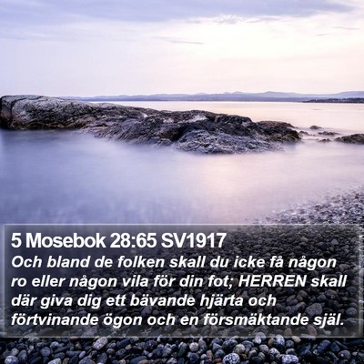 5 Mosebok 28:65 SV1917 Bible Verse Image
