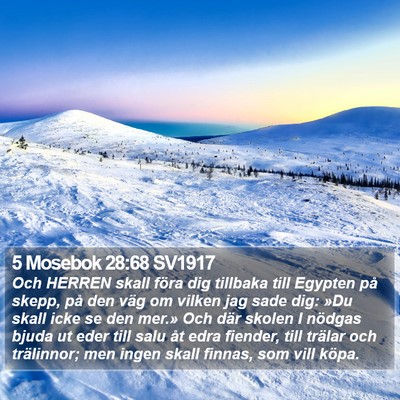 5 Mosebok 28:68 SV1917 Bible Verse Image