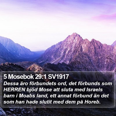 5 Mosebok 29:1 SV1917 Bible Verse Image