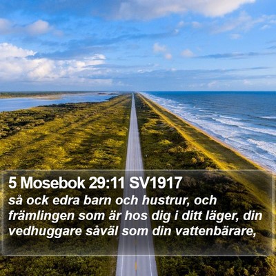 5 Mosebok 29:11 SV1917 Bible Verse Image