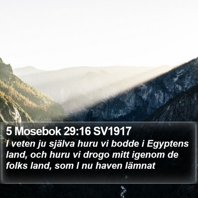 5 Mosebok 29:16 SV1917 Bible Verse Image