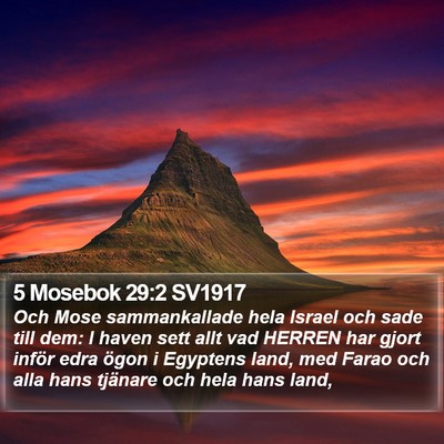 5 Mosebok 29:2 SV1917 Bible Verse Image