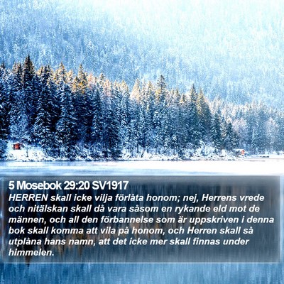 5 Mosebok 29:20 SV1917 Bible Verse Image