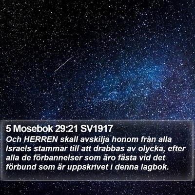 5 Mosebok 29:21 SV1917 Bible Verse Image