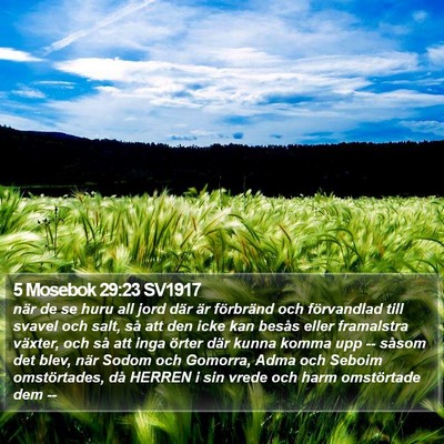 5 Mosebok 29:23 SV1917 Bible Verse Image