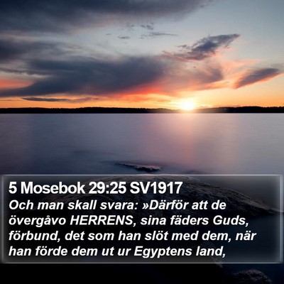 5 Mosebok 29:25 SV1917 Bible Verse Image