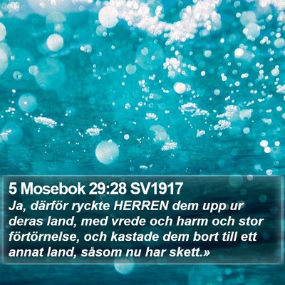 5 Mosebok 29:28 SV1917 Bible Verse Image