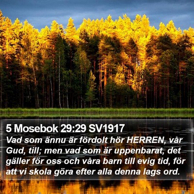 5 Mosebok 29:29 SV1917 Bible Verse Image