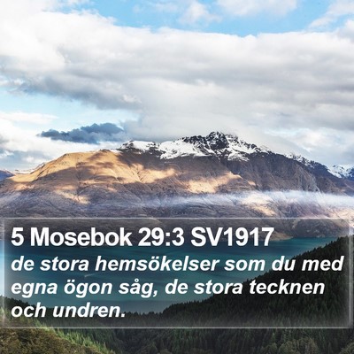 5 Mosebok 29:3 SV1917 Bible Verse Image