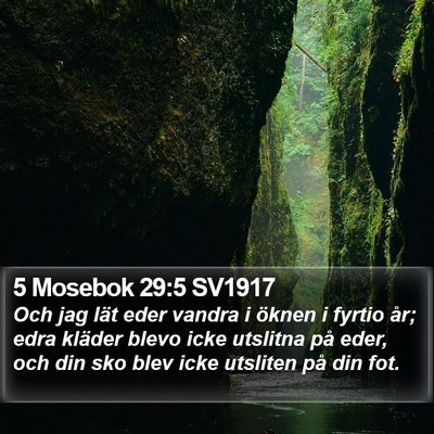5 Mosebok 29:5 SV1917 Bible Verse Image