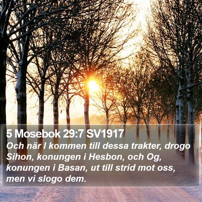 5 Mosebok 29:7 SV1917 Bible Verse Image