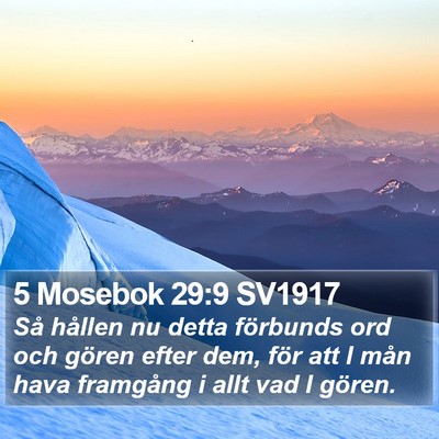 5 Mosebok 29:9 SV1917 Bible Verse Image