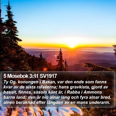 5 Mosebok 3:11 SV1917 Bible Verse Image