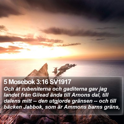 5 Mosebok 3:16 SV1917 Bible Verse Image