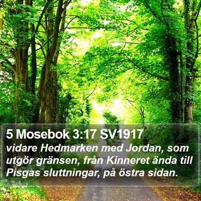 5 Mosebok 3:17 SV1917 Bible Verse Image