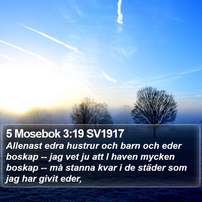 5 Mosebok 3:19 SV1917 Bible Verse Image