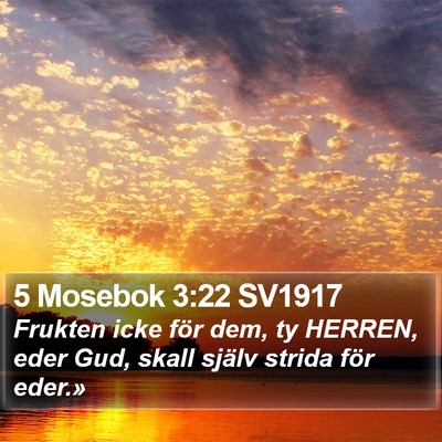 5 Mosebok 3:22 SV1917 Bible Verse Image