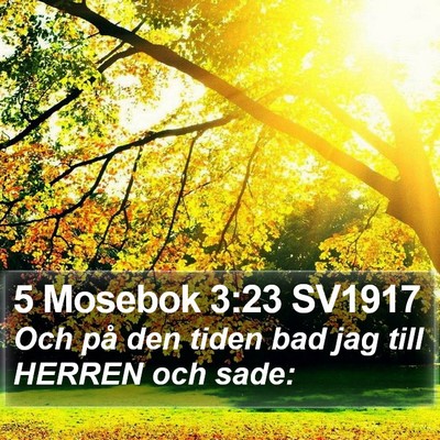 5 Mosebok 3:23 SV1917 Bible Verse Image