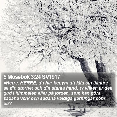 5 Mosebok 3:24 SV1917 Bible Verse Image